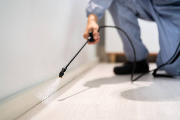 Licensed Rodent Control service in Colorado, CO - Nex Pest Control